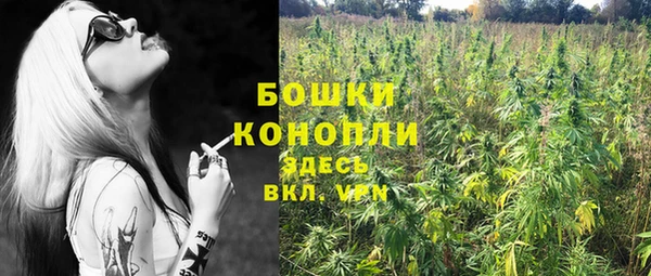 гидра Бородино