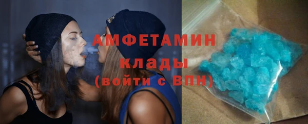 гидра Бородино