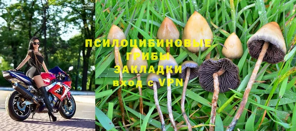 гидра Бородино