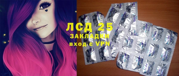 гидра Бородино