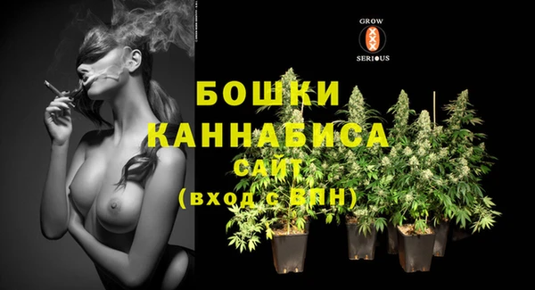гидра Бородино