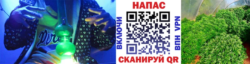 МАРИХУАНА конопля  как найти закладки  Грязовец 
